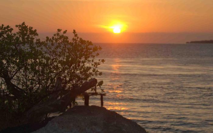 Votel Manyar Resort Banyuwangi