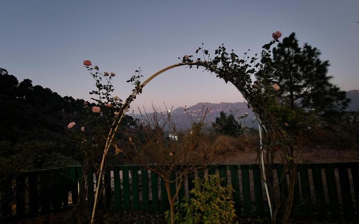 Pine Valley Resort-PVR Kasauli