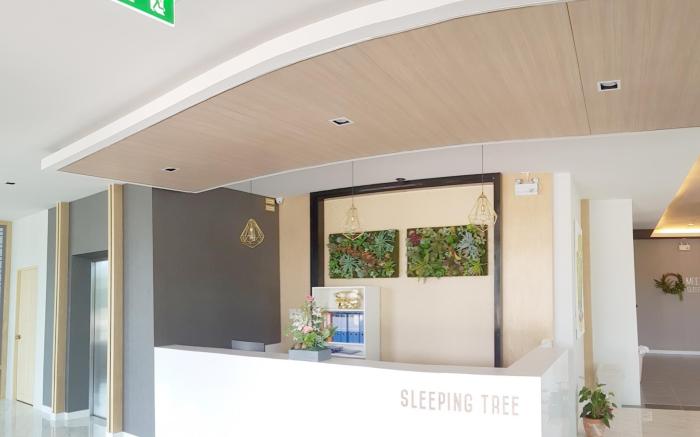 Sleeping Tree Hotel