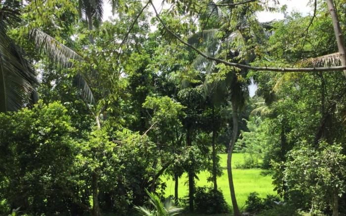 Eco Breeze - Unawatuna