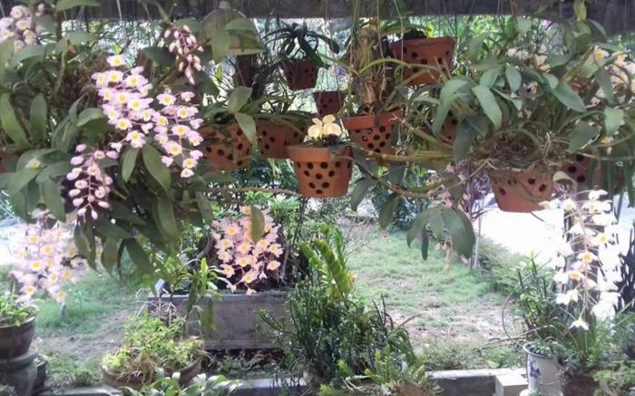 Ciel HomeStay