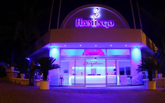 Flamingo Hotel & Spa - Pet Friendly