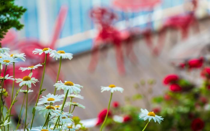 Samcheok Benecia Pension