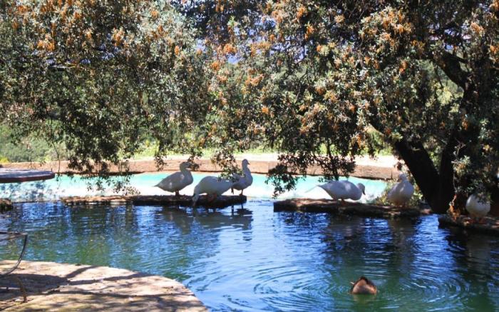 Los Pilares de Ronda Boutique Hotel