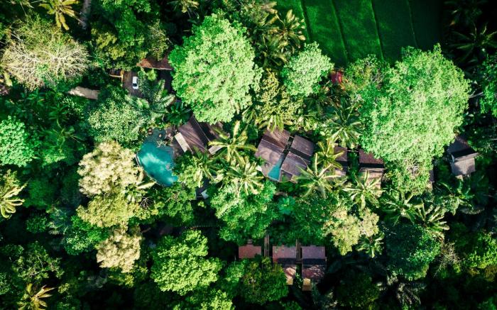 Pramana Giri Kusuma