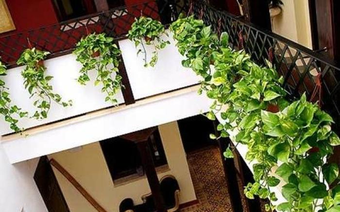 HOTEL BOUTIQUE ALMA ANDALUSi