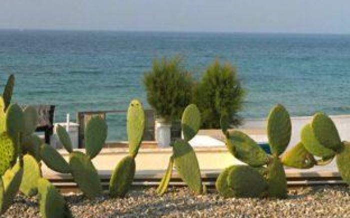 Beauty Beach Villa