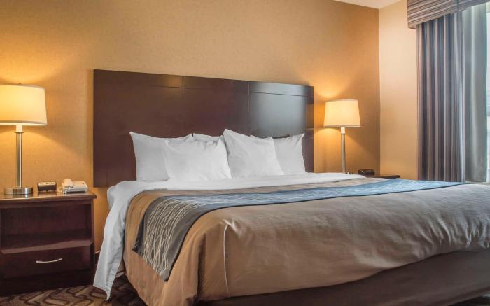 Comfort Inn & Suites Ambassador Bridge