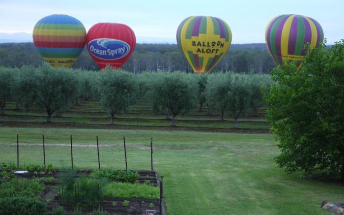 Adina Vineyard Accommodation