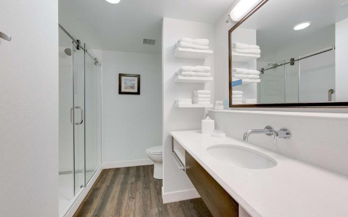 Hampton Inn & Suites North Houston Spring