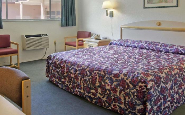 Gainesville University