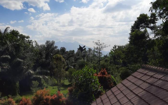 Villa Dhanty