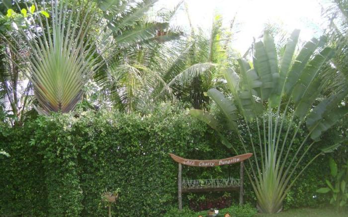 Chez Charly Bungalow