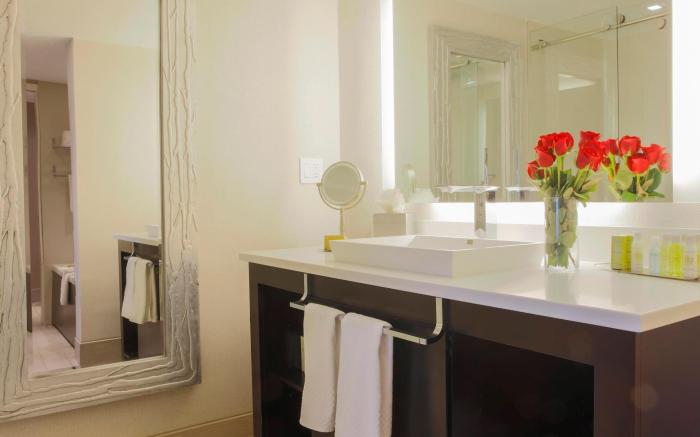 DoubleTree by Hilton Hotel Rochester