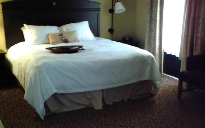 Hampton Inn Vidalia
