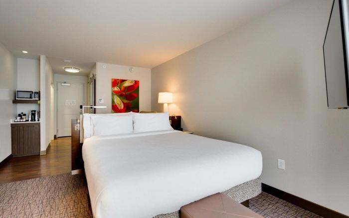 Hilton Garden Inn North Houston Spring