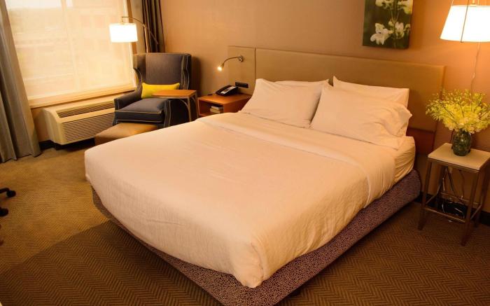 Hilton Garden Inn Rochester Downtown