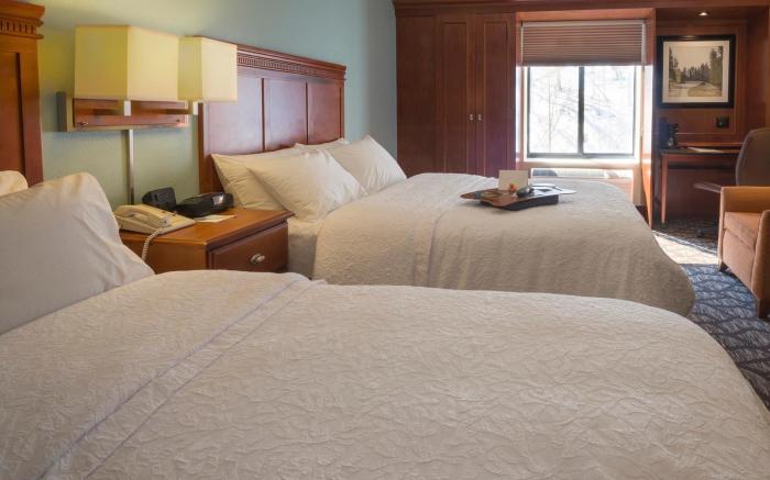 Hampton Inn & Suites Binghamton/Vestal