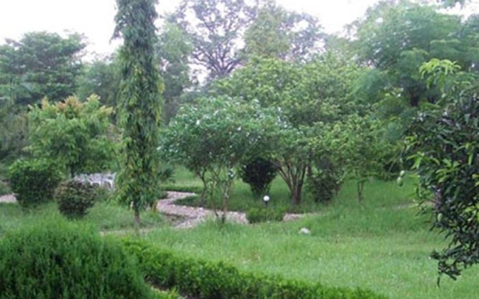 Bardia Forest Resort