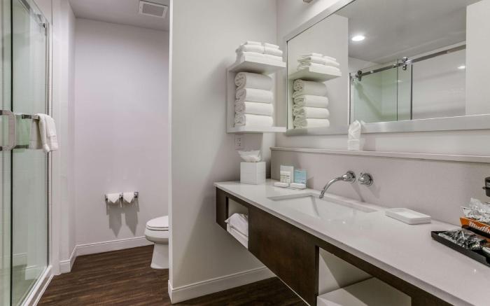 Hampton Inn & Suites Dallas - Central Expy North Park Area