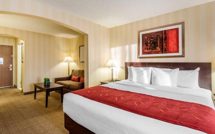 Comfort Suites Highlands Ranch Denver Tech Center Area