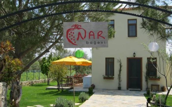 Nar Bagevi