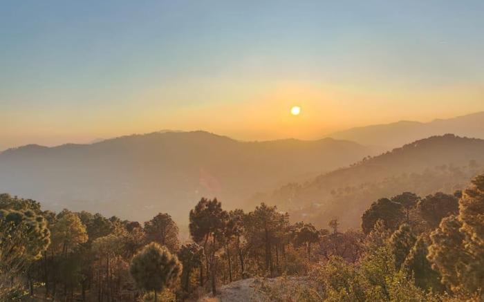 LEELA The Flavors of Nature