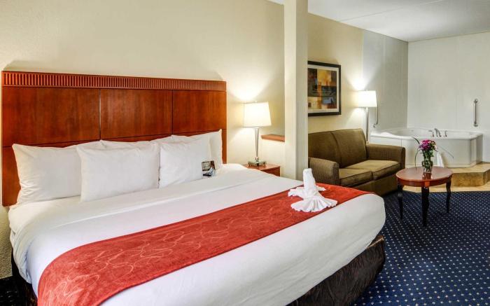 Comfort Suites Outlet Center