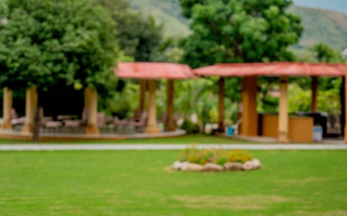 YAAN Udaipur