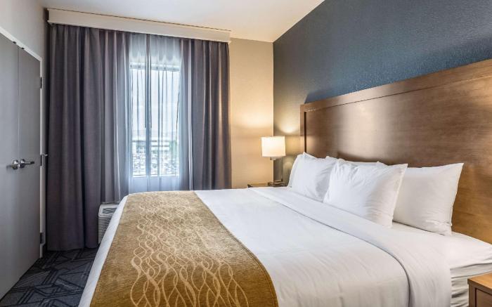 Comfort Inn & Suites Salt Lake City Airport