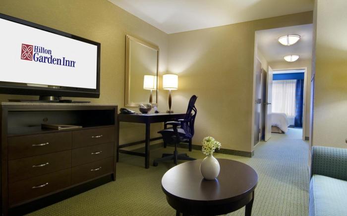 Hilton Garden Inn Atlanta Downtown