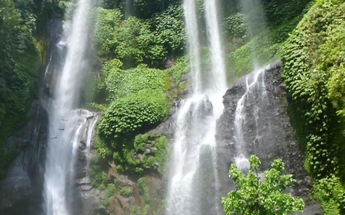 1000 Dream Bungalow & Restaurant