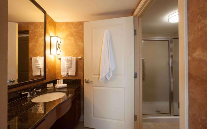 Homewood Suites by Hilton San Antonio-North