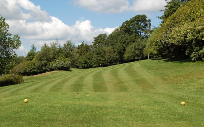 Ashdown Park