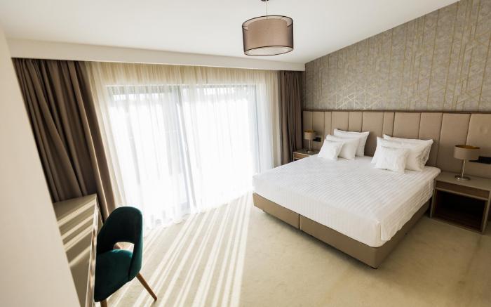 Stein Collection Hotel