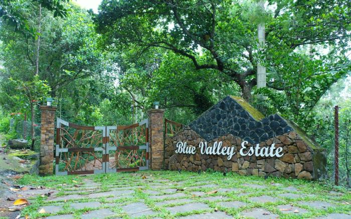 Blue Valley Estate - Forest-Mountain View Villa