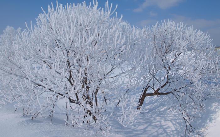 Niseko Tabi-tsumugi Backpackers