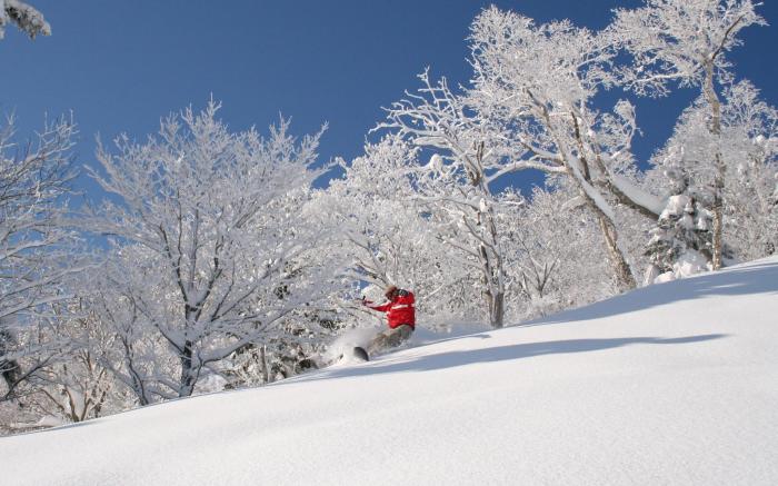 Furano Natulux Hotel