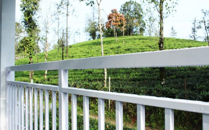 Lavender Vagamon