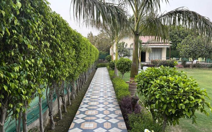 GoBravo 15 - 2BHK Farm with Pool & Garden Sector 135 Noida