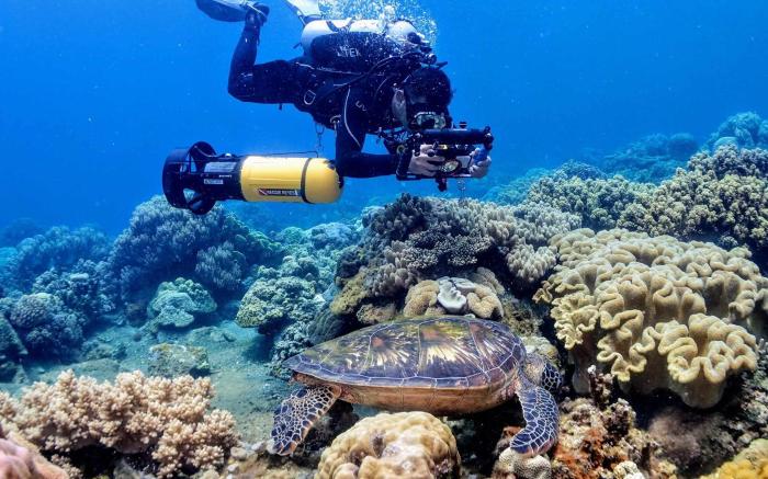 Silver Reef Dive Resort