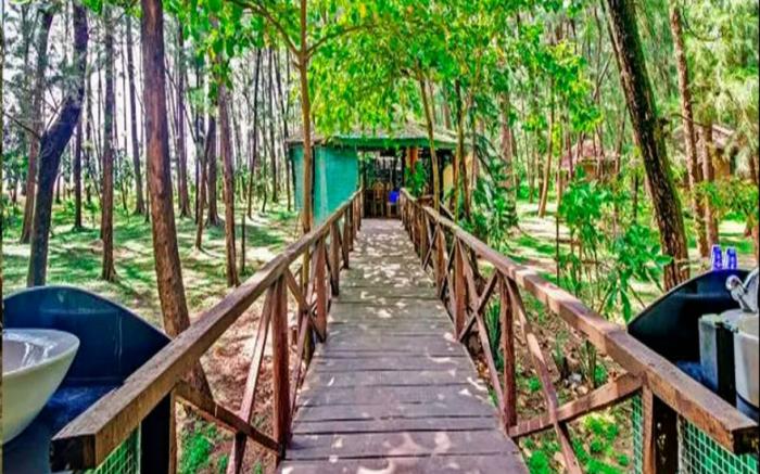 Devbagh beach resort - Junglelodges 
