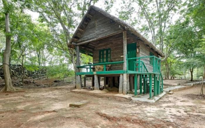 Bannerghatta Nature Camp-Jungle Lodges