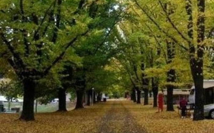 NRMA Bright Holiday Park