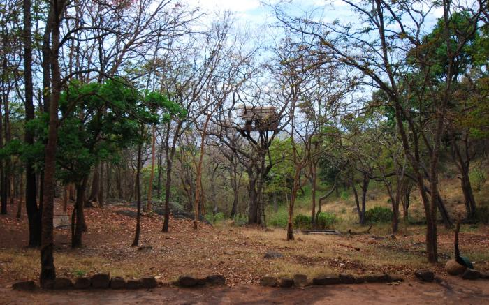 K Gudi Wilderness Camp-Jungle Lodges