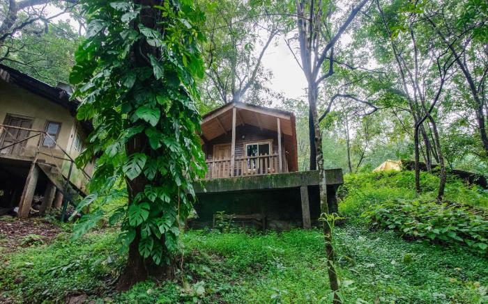 Old Magazine House - Jungle Lodges