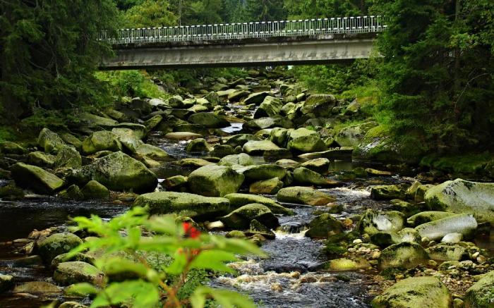 Entire house - 5 star studio apartment Vogelsang at the Bavarian Forest National Park, 4 guests