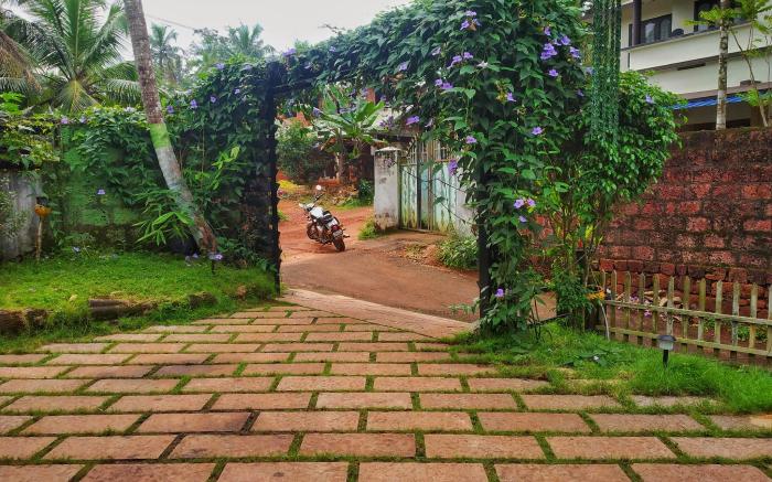 Casita Greens