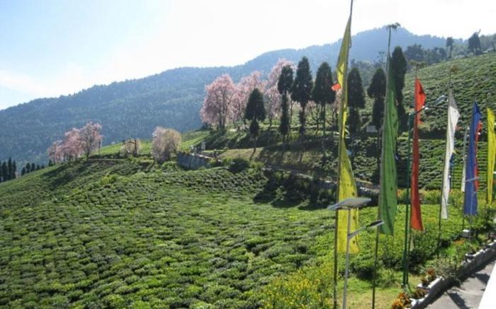 Cherry Resort South Sikkim