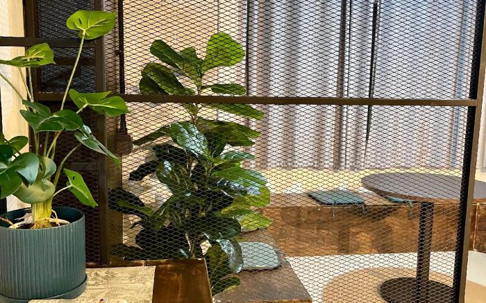 Natural and convenient room in nimman 